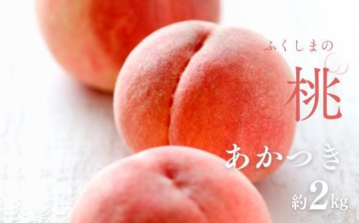 No.2989 福島定番 福島県福島市産もも「あかつき」約2kg(5～7玉)【2025年発送】