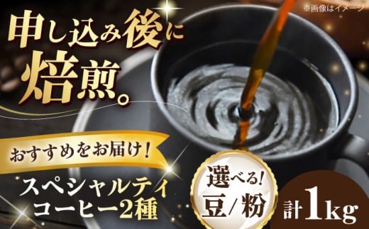 【粉】 スペシャルティコーヒー おすすめ2種セット 各500g 珈琲 コーヒー豆 コーヒー粉 コーヒー ドリップ ドリップ珈琲 飲料 愛媛県大洲市/株式会社日珈 [AGCU028-1]