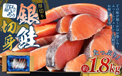 【6カ月定期便】【 訳あり 】 厚切り 銀鮭切身 約1.8kg×6回 合計約10.8kg 銀鮭 鮭 サケ 切り身 魚 魚介 しゃけ