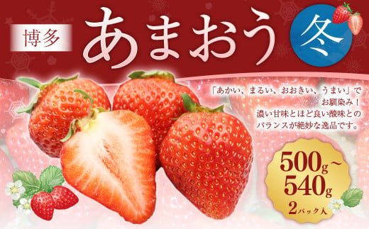 博多あまおう2パック(冬) 250g〜270g×2パック 合計約500g〜540g あまおう いちご 苺 イチゴ フルーツ 果物 くだもの[2024年12月上旬-2025年1月下旬発送予定]