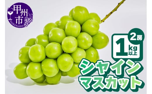 【農林水産大臣賞受賞!!】シャインマスカット2房1kg以上【2025年発送】（AGB）B12-445 【シャインマスカット 葡萄 ぶどう ブドウ 令和7年発送 期間限定 山梨県産 甲州市 フルーツ 果物】 667604 - 山梨県甲州市