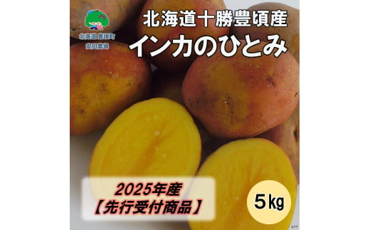 北海道十勝豊頃産 インカのひとみ5kg【2025年産】（先行受付）［安田農場］