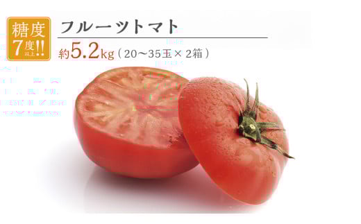 フルーツトマト 大箱 約2.6kg × 2箱 【大玉 20〜35玉/1箱】 2026年産 糖度7度 以上 野菜 フルーツ トマト とまと [AF073ci]