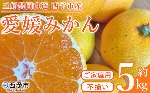 ＜愛媛みかん 家庭用（不揃い）箱込約5kg＞ 果物 フルーツ 温州みかん うんしゅうみかん ウンシュウミカン みかん ミカン 蜜柑 オレンジ 柑橘 自宅用 訳あり 産地直送 三好農園 西宇和 愛媛県 西予市【常温】『2025年11月中旬～2026年1月中旬迄に順次出荷予定』 1108557 - 愛媛県西予市