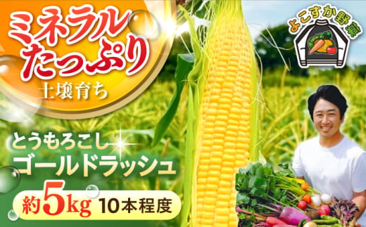 【先行予約】とうもろこし　ゴールドラッシュ　処理済み　10本程度　約5kg（7月〜8月）【鈴也ファーム】 [AKCE026]