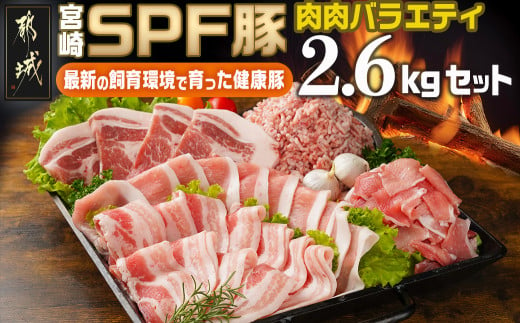 「宮崎SPF豚」肉肉バラエティ2.6kgセット_MJ-K901_(都城市) 宮崎県産豚 小間切れ ロース 肩ローススライス バラ トンカツ トンテキ ミンチ