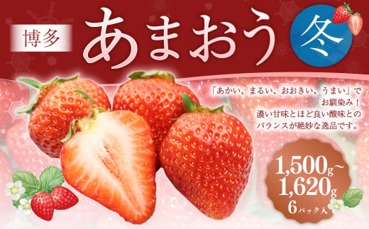 博多あまおう6パック（冬） 250g～270g×6パック 合計約1500g～1620g あまおう いちご 苺 イチゴ フルーツ 果物 くだもの【2024年12月上旬-2025年1月下旬発送予定】