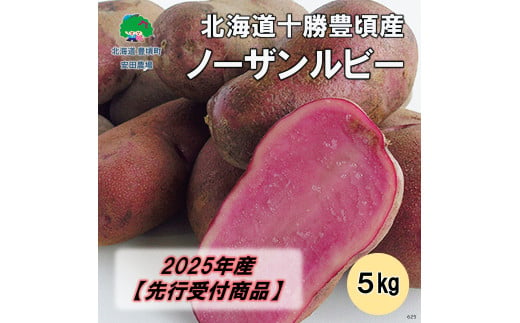 北海道十勝豊頃産 ノーザンルビー5kg【2025年産】（先行受付）［安田農場］