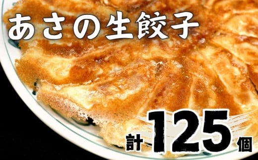 あさの生餃子 【25個入×5パック 計125個】 冷凍餃子 国産豚肉 生餃子 業務用餃子 簡易包装餃子 おつまみ 餃子 お子様 餃子 豚肉餃子 家族 餃子 国産野菜