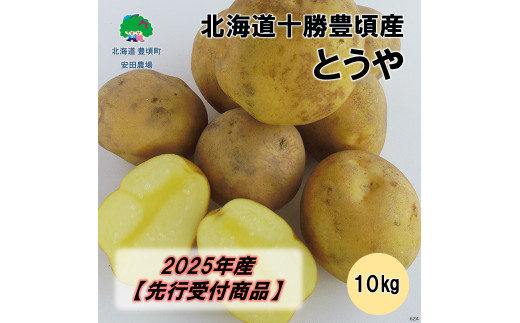 北海道十勝豊頃産 とうや10kg【2025年産】（先行受付）［安田農場］