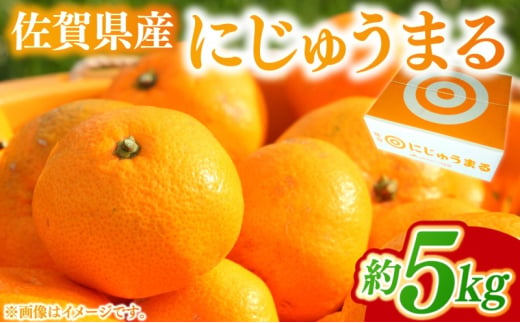 みかん 家庭用 佐賀県産 にじゅうまる 約5kg 柑橘類 ※配送不可：北海道、沖縄県、離島