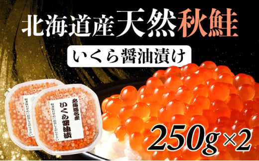 北海道産天然秋鮭 いくら醤油漬け 500g（250g×2） 登別産 海の幸 いくら イクラ 小分け 鮭いくら 鮭イクラ イクラ醤油漬 イクラ醤油漬け 鮭 鮭卵 ikura いくら醤油漬 冷凍いくら 冷凍イクラ いくら北海道 イクラ北海道 醤油鮭いくら 醤油鮭イクラ 年末年始 お歳暮 お正月 2025 人気 ふるさと納税 北海道 登別市