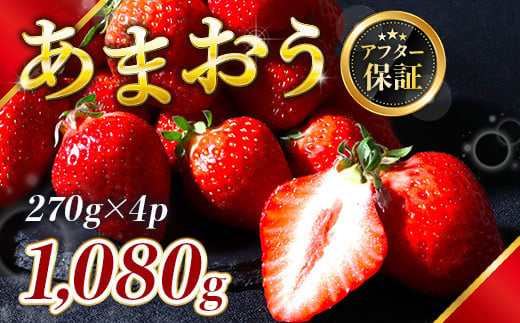 福岡県産 あまおう 1080g 送料無料 いちご 果物 フルーツ ギフト 季節限定 先行予約 2025年1月以降より順次発送 TY052-2