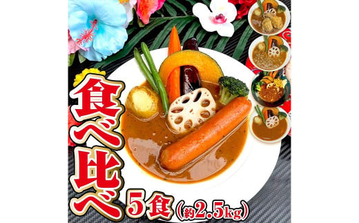 冷凍 スープカレー 食べ比べ 5食 セット 計約2.5kg / チキン キーマ ウインナー 薬膳 ベジタブル カレー レトルトカレー レトルト食品 詰め合わせ 288775 - 福岡県筑後市