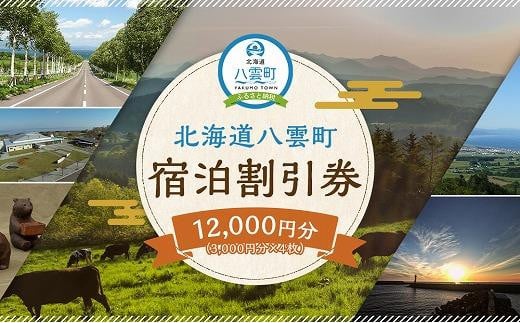 北海道八雲町　宿泊割引券3,000円分×4枚【 宿泊券 割引券 旅行 ホテル ホテルチケット 観光 宿泊 ご当地 八雲町 北海道 】