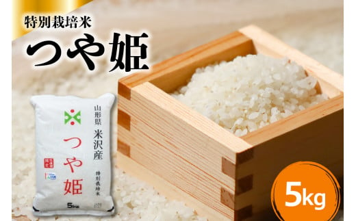 令和6年産 特別栽培米 つや姫 5kg × 1袋 米沢産 2024年産