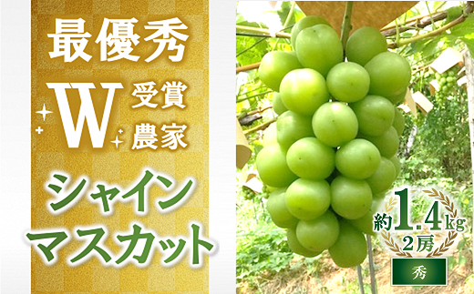 【令和7年産先行予約】【最優秀賞W受賞農家】 シャインマスカット 約1.4kg (2房 秀) 《令和7年9月中旬～発送》『生産者 佐藤 大輔』 マスカット 葡萄 ぶどう 種なし 果物 フルーツ デザート 山形県 南陽市 [2236] 1738318 - 山形県南陽市