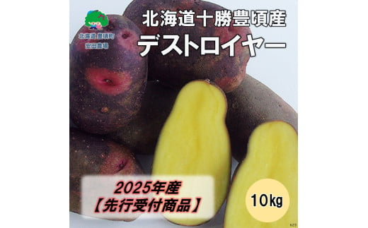 北海道十勝豊頃産 デストロイヤー10kg【2025年産】（先行受付）［安田農場］