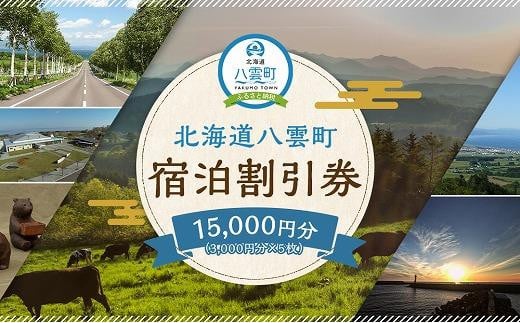 北海道八雲町　宿泊割引券3,000円分×5枚【 宿泊券 割引券 旅行 ホテル ホテルチケット 観光 宿泊 ご当地 八雲町 北海道 】