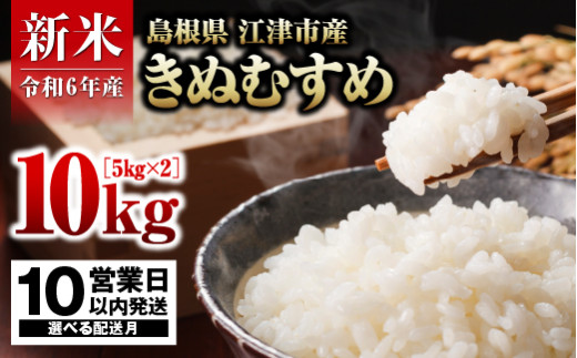 ≪4月配送≫【配送月が選べる】R6産 邑智郡産 きぬむすめ 5kg × 2【合計10kg】【FY-1_4】｜R6産 新米 白米 島根県 江津市産 邑智郡産 お米 精米 こめ おこめ 米 きぬむすめ 10キロ 5キロ 小分け 使いやすい 美味しい｜ 1066698 - 島根県江津市