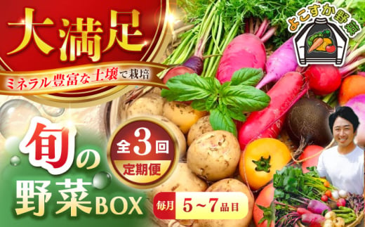 【全3回定期便】すずなり採れたて野菜BOX　(5～7品）【鈴也ファーム】 [AKCE011] 1604342 - 神奈川県横須賀市