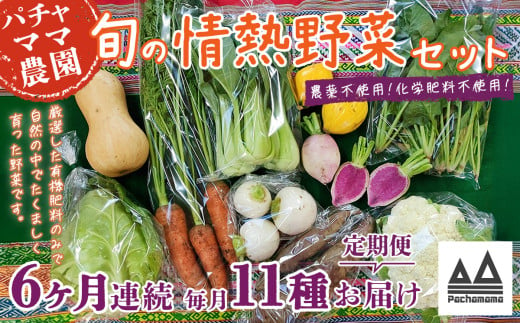 【6ヶ月連続お届け】農園自慢の情熱野菜セット（11品）【野菜 詰め合わせ お任せ 季節物 定期便 セット 山芋 パセリ わさび菜 ポップコーン かぶ 人参 里芋 たまねぎ 玉ねぎ ルッコラ ほうれん草 春菊 大根 芽キャベツ レタス じゃがいも さつまいも とうもろこし そら豆 枝豆 パクチー ビーツ ほうれん草 キャベツ ピーマン なすトマト かぼちゃ】