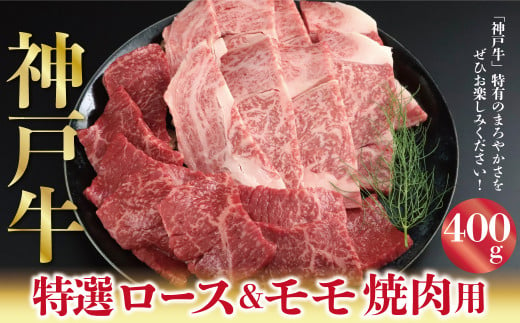 神戸牛 特選ロース＆モモ 焼肉用 400g A4ランク以上 もも モモ 赤身 神戸牛 但馬牛 国産 和牛 黒毛和牛 焼肉 217574 - 兵庫県朝来市