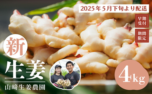 24-818．【早期受付・期間限定】みずみずしさがたまらない！新生姜約4kg【2025年5月下旬～9月上旬配送】 867457 - 高知県四万十市