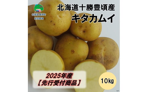 北海道十勝豊頃産 キタカムイ約10kg【2025年産】（先行受付）［安田農場］