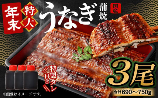 国産うなぎ蒲焼 3尾（690〜750g）と特製タレ3個セット【2024年12月21日より順次発送】 ｜年内発送 年末発送 お正月 大晦日 年末年始 鰻 ウナギ 蒲焼 うなぎ蒲焼 タレ付 大阪府 阪南市 1604325 - 大阪府阪南市