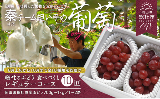 【10回定期便】総社のぶどう食べつくしレギュラーコース総社市秦担い手【2025年産先行予約】25-150-001