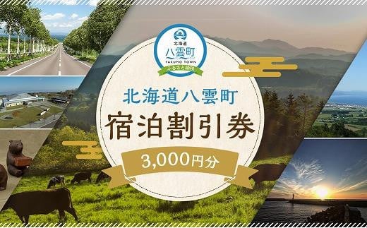 北海道八雲町　宿泊割引券3,000円分【 宿泊券 割引券 旅行 ホテル ホテルチケット 観光 宿泊 ご当地 八雲町 北海道 】