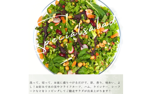 画像はイメージです。