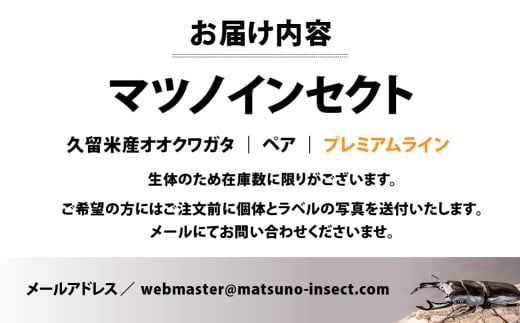 マツノインセクト 久留米産 オオクワガタ 84mm ペア プレミアムライン 国産 久留米 ブリーダー 松野 送料無料 愛知県 豊橋市 -  愛知県豊橋市｜ふるさとチョイス - ふるさと納税サイト