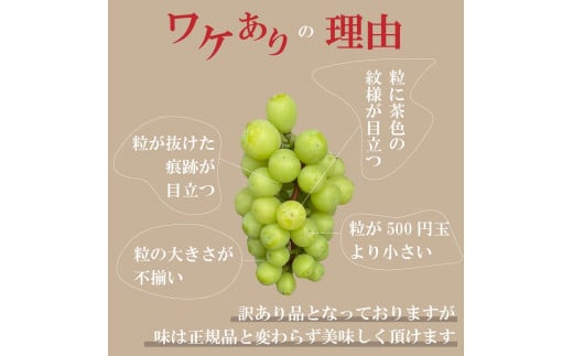 訳あり】シャインマスカット3～4房1.5kg以上【2025年発送】（AGB）B-875 【わけあり シャインマスカット 葡萄 ぶどう ブドウ  令和7年発送 期間限定 山梨県産 甲州市 フルーツ 果物】 - 山梨県甲州市｜ふるさとチョイス - ふるさと納税サイト