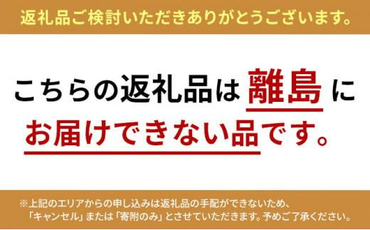 静岡県静岡市のふるさと納税 West Coast Brewing クラフトビール「Starwatcher」※500mL缶×4本Set【配送不可：離島】