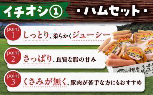 フルーツ 野菜 旬 牛肉 長崎和牛 ハム ジェラート プリン スイーツ 定期便