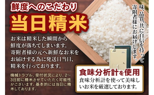 宮城県栗原市のふるさと納税 【ブランド米・食べ比べ】宮城県栗原産 ひとめぼれ・つや姫・だて正夢 令和6年産 白米 2kg×3品種