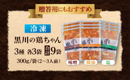 岐阜県白川町のふるさと納税 黒川の鶏ちゃん 三種セット（各3袋） けいちゃん 鶏肉 味噌 白川町 / 旨々工房黒川 [AWBF001]