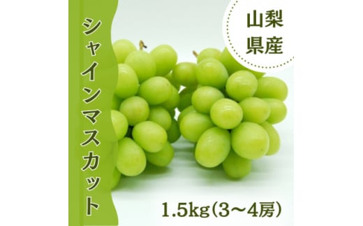 ＜2025年先行受付＞やみつきシャインマスカット 1.5kg(3～4房)【1304377】 340170 - 山梨県山梨市