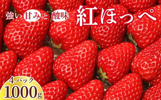 いちご 紅ほっぺ 250g×4パック 計1000g ｜ いちご イチゴ 苺 ストロベリー ベリー 季節限定 果物 くだもの フルーツ 野菜 美味しい おいしい 甘み ほのかな酸味 デザート スイーツ ギフト 贈り物 ビタミン 健康 埼玉県 久喜市