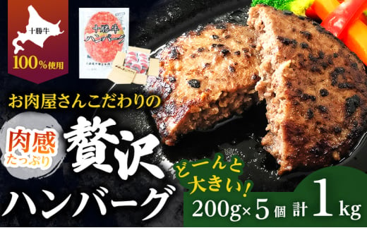 北海道 十勝牛 手ごねハンバーグ 200g×5個 【セット 牛100% 国産牛 牛肉 ハンバーグ 惣菜 小分け 冷凍 牛肉100% 大きい 国産 北海道 十勝 幕別 ふるさと納税 送料無料 】[№5749-1438] 1640038 - 北海道幕別町