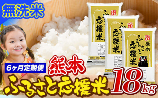 【6ヶ月定期便】米 無洗米 家庭用 熊本 ふるさと応援 定期便 米  18kg《申込み翌月から発送》 熊本県産 白米 精米 山江村 ブレンド米 国産 おうちご飯 予約 返礼品 発送 配送 SDGs わけあり むせんまい お米 おこめ