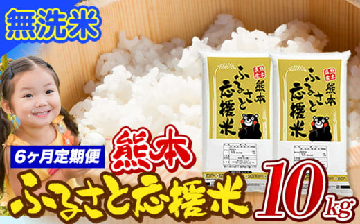 【6ヶ月定期便】米 無洗米 家庭用 熊本 ふるさと応援 定期便 米  10kg《申込み翌月から発送》 熊本県産 白米 精米 山江村 ブレンド米 国産 おうちご飯 予約 返礼品 発送 配送 SDGs わけあり むせんまい お米 おこめ 1621880 - 熊本県山江村