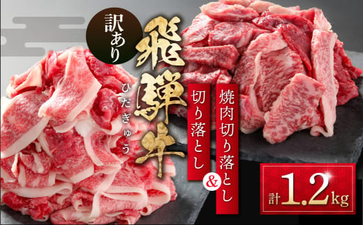 訳あり 飛騨牛 切落とし 600g 焼肉 切落し 600g 冷凍真空パック | 肉 お肉 切り落とし 薄切り すき焼き すきやき 焼肉 焼き肉 やきにく 黒毛和牛 和牛 人気 おすすめ 牛肉 ギフト [MS027] 1621609 - 岐阜県白川村