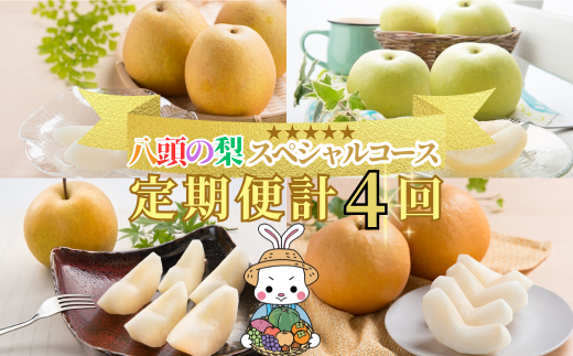 【2025年発送分】八頭の梨スペシャルコース【8月頃～11月/4回お届け】 298421 - 鳥取県八頭町