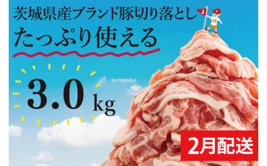 [数量限定][2月発送]茨城県産ブランド豚切り落とし3kg (300g×10p)[肉 豚肉 切り落とし 小分け 真空 真空パック 茨城県産 肉料理 肩ロース ウデ モモ バラ 水戸市 水戸](EC-20-2)