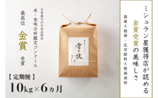 ≪ 令和6年産 新米 ≫【 定期便 】 10kg ×6ヵ月 金賞受賞 魚沼産コシヒカリ 雪と技　農薬5割減・化学肥料5割減栽培