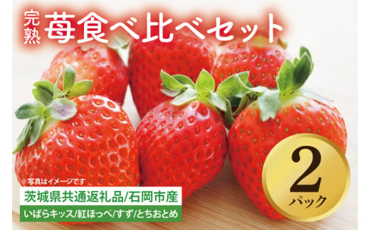 【先行予約】完熟苺 食べ比べセット 2パック【茨城県共通返礼品：石岡市】│ 完熟 いちご イチゴ いばらキッス 紅ほっぺ すず とちおとめ（BH002）