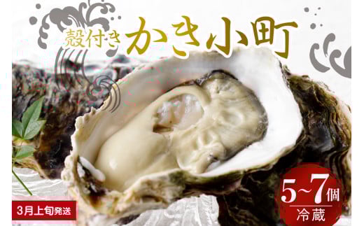 【2026年3月上旬発送】宮原水産 かき小町 殻付き 5～7個 ku005-006-03-1-25 2153802 - 広島県呉市